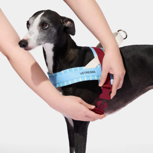 VETRESKA 미스트앤멀로 강아지 하네스 가슴줄 소형견 중형견 솔직 후기 | 실제 사용자 리뷰 총정리 - 상품 이미지 4