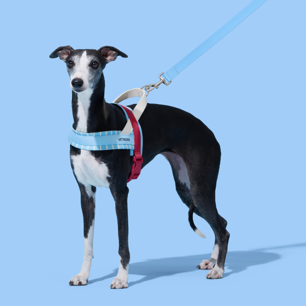 VETRESKA 미스트앤멀로 강아지 하네스 가슴줄 소형견 중형견