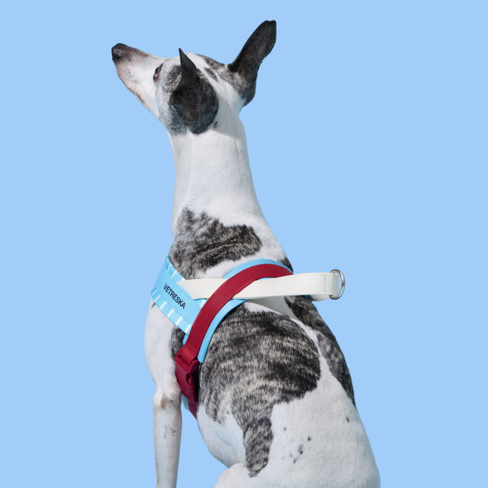 VETRESKA 미스트앤멀로 강아지 하네스 가슴줄 소형견 중형견