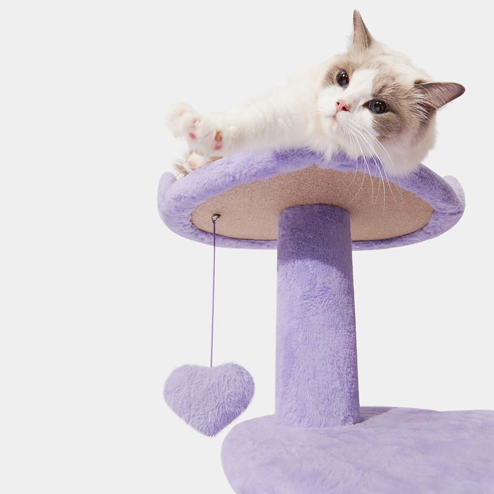 VETRESKA 하트퍼플 소형캣타워 미니캣타워 먼치킨 스텝 선반