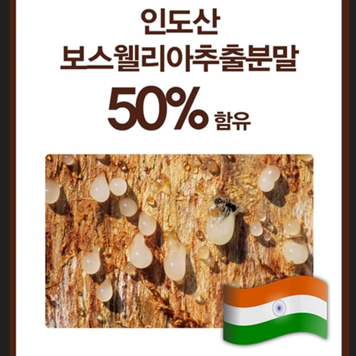 코오롱제약 보스웰리아 콘드로이친 120정 4개월 관절 연골 건강 보스웰릭산 우슬 초록입홍합 - 상세 이미지 5