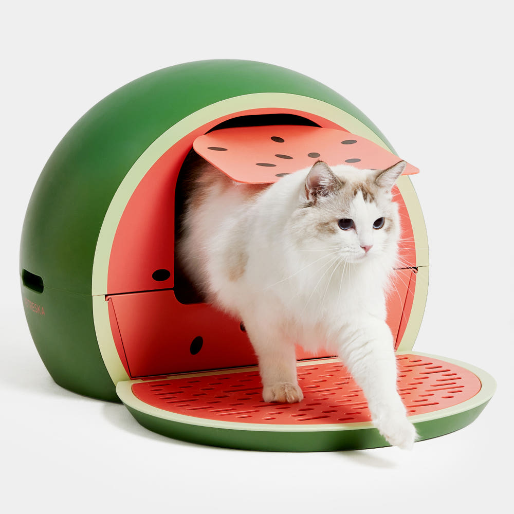 상세 스펙 이미지 1