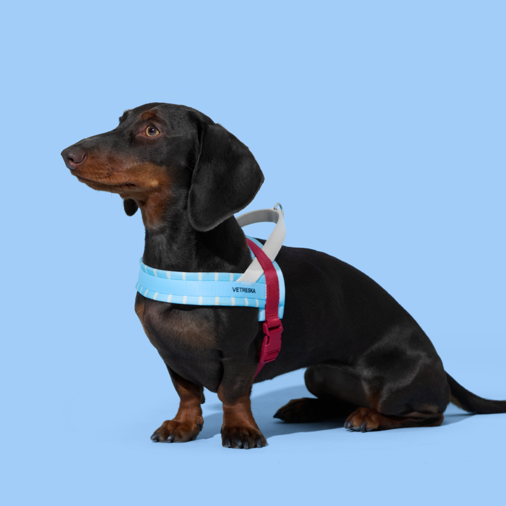 VETRESKA 미스트앤멀로 강아지 하네스 가슴줄 소형견 중형견