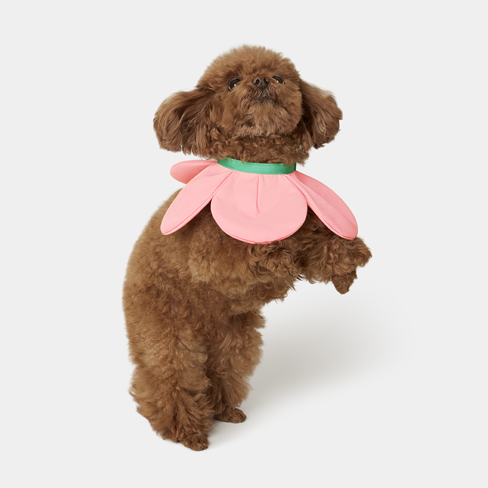 VETRESKA 플라워 강아지 케이프 고양이 스카프 턱받이 머플러 레이스 - 상품 이미지
