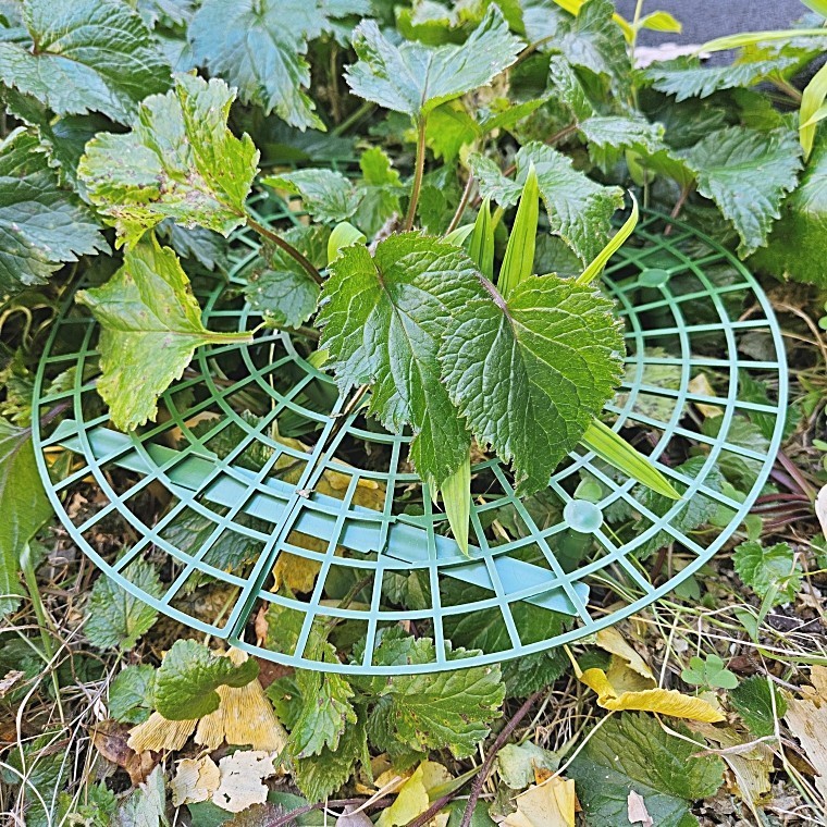 딸기재배 작물키우기 모종 받침대 거치대 텃밭가꾸기 - 메인 이미지