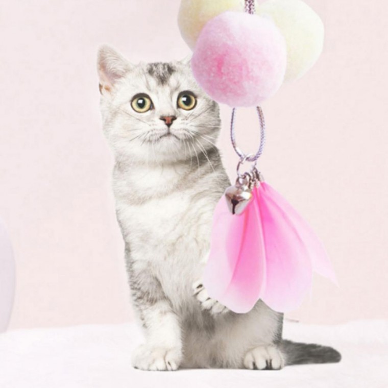 고양이 장난감 낚시대 깃털 사냥놀이 PET 사냥 놀이 - 상품 이미지