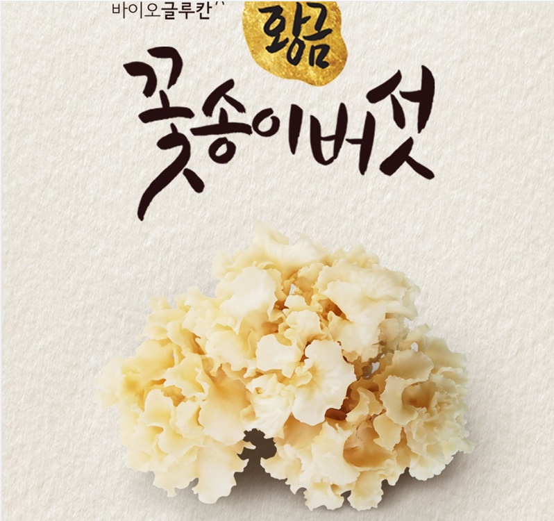 함량100% 프리미엄 꽃송이버섯 꽃송이버섯분말 100g - 상세 이미지 5