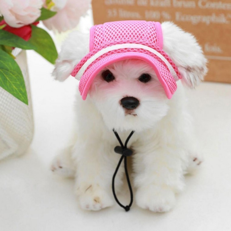 강아지 PET 썬바이저 자외선차단 산책모자 썬캡 모자 - 메인 이미지
