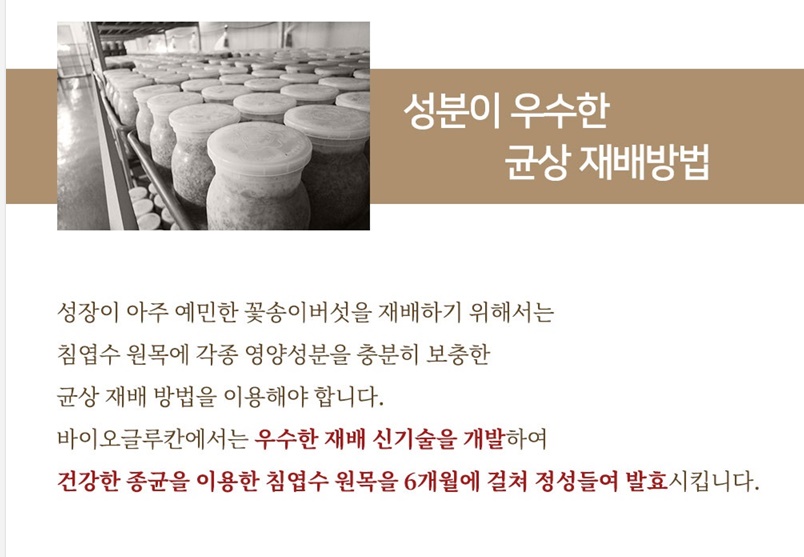 꽃송이버섯 분말 100g 3입 세트 파격선물 건조꽃송이버섯 50g 바이오글루칸 이미지 7
