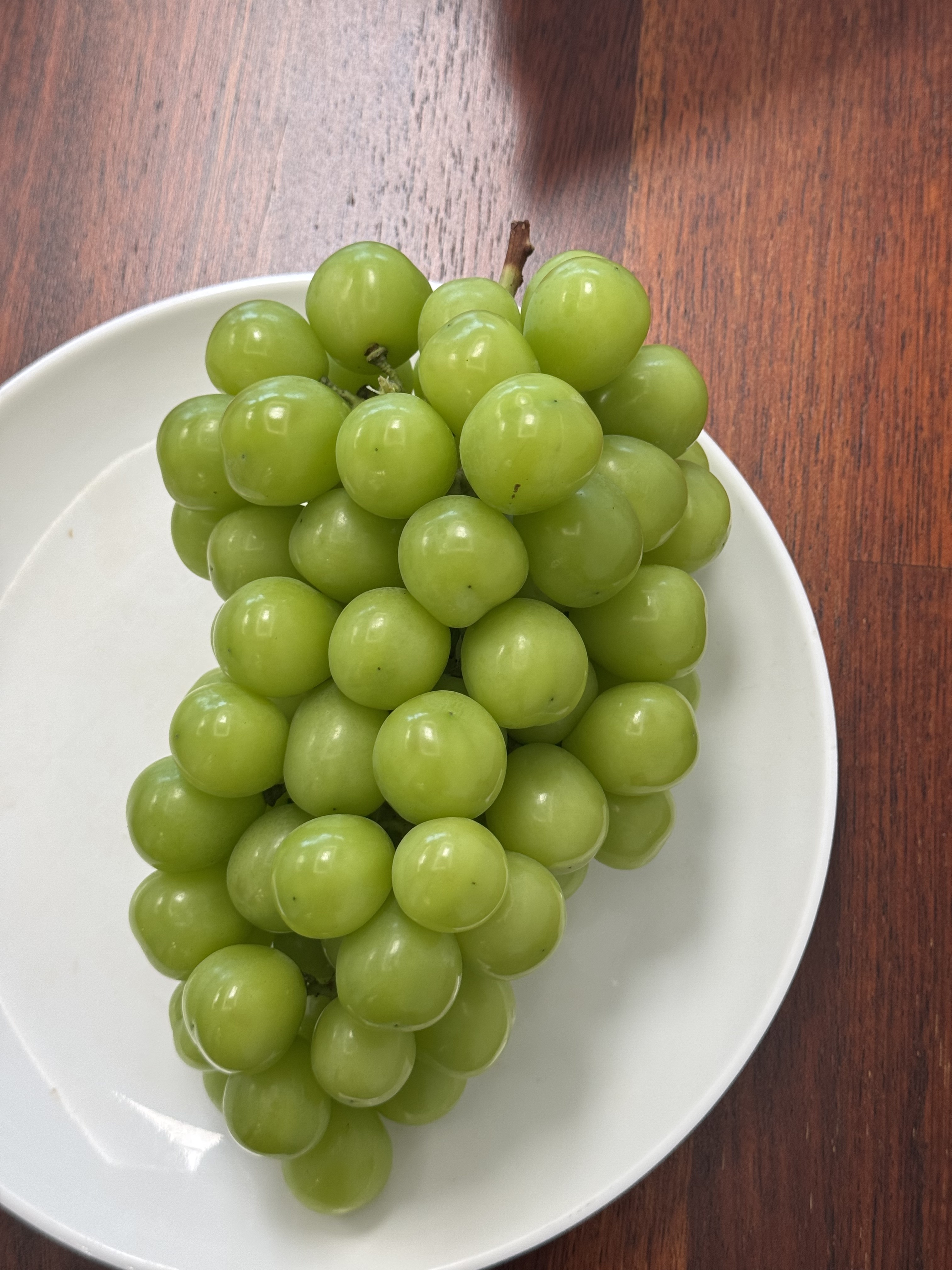 새벽경매 고당도 샤인머스켓 18Brix, 2kg, 1개 - 상세 이미지 5