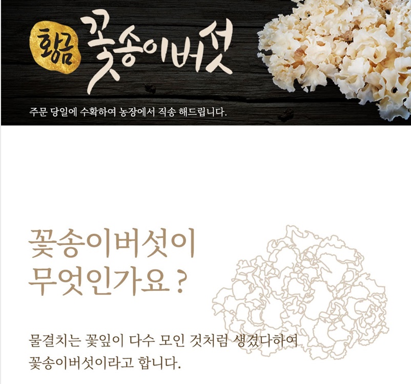 함량100% 프리미엄 꽃송이버섯 꽃송이버섯분말 100g - 상세 이미지 4