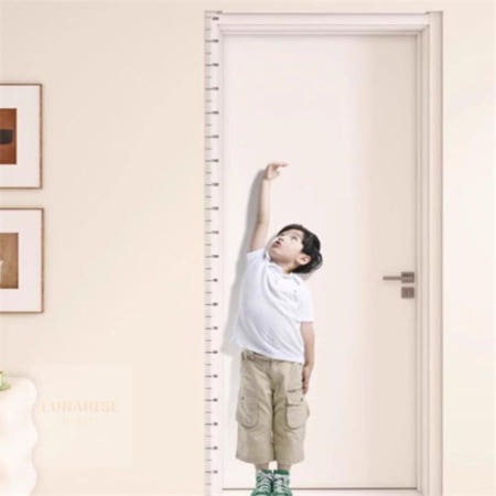 썬라이즈마켓협력사 달온 키재기 스티커 200cm 눈금자 신장계 키크는방법 수동신장계