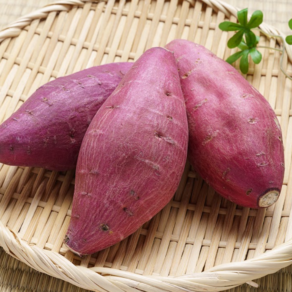 여주꿀밤고구마 베니하루카 햇 당도높은 하루베니카 세척 중 3kg - 상품 이미지