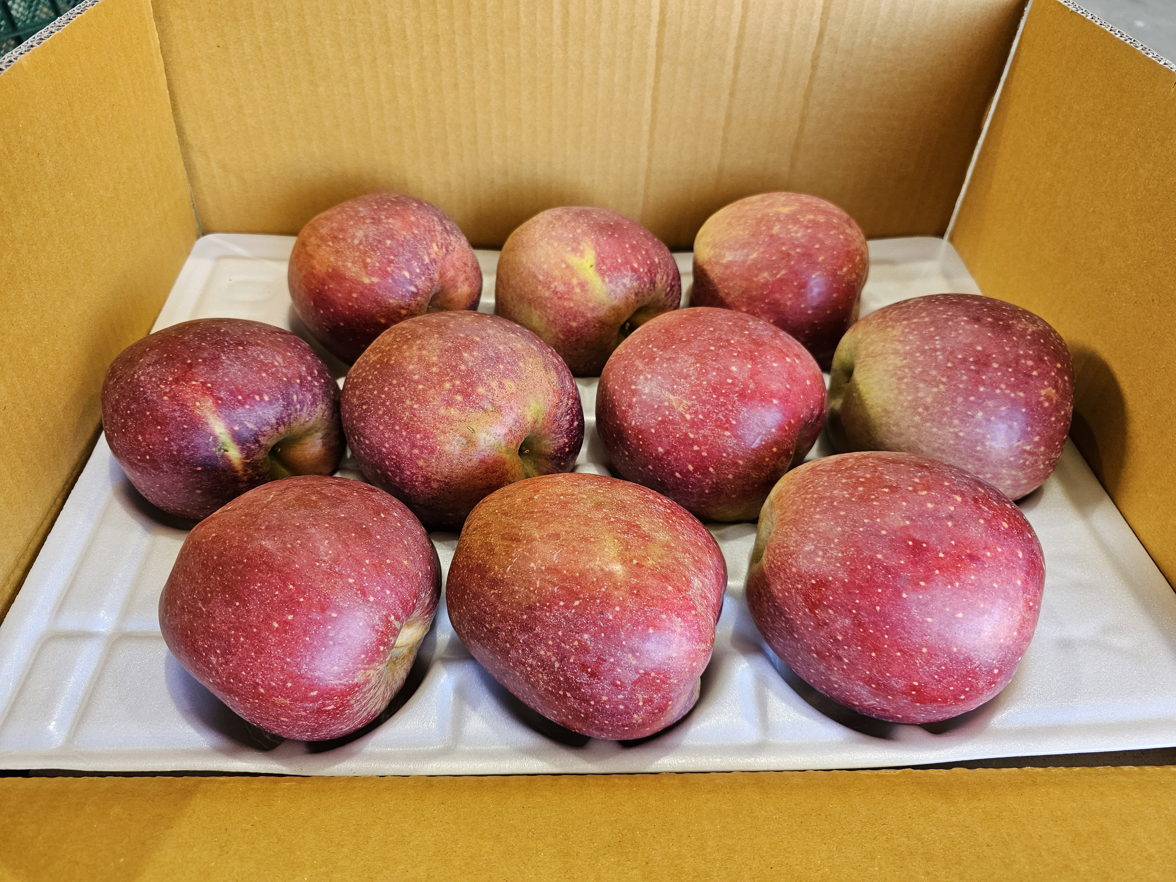 감홍 가정용 중대과 사과 15.2Brix, 5kg, 1개 이미지 8