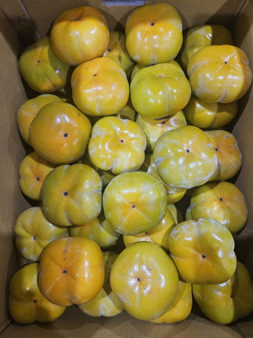 전라도 차량 단감 대봉 대과 특품 5kg 10kg - 상품 이미지
