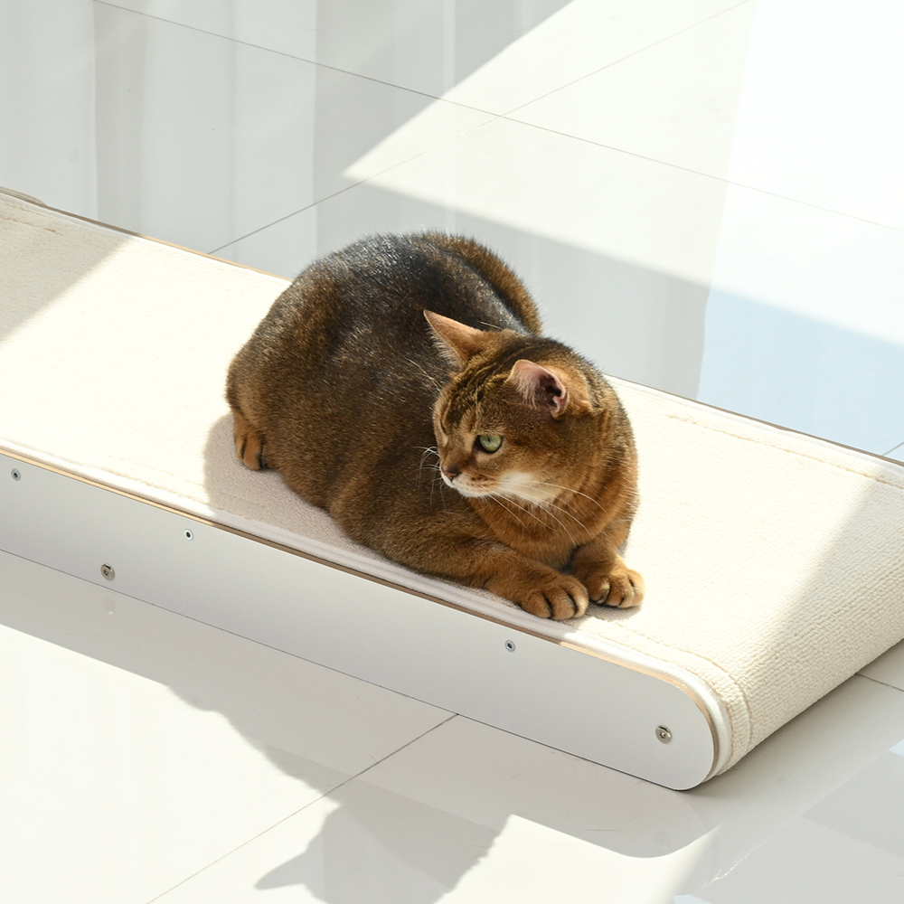 펫코본 고양이 수직 원목 스크래쳐 카페트 교체형 철제프레임 대형