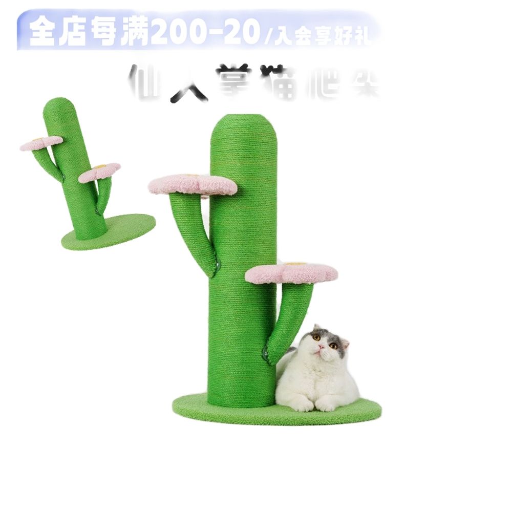 고양이 선인장스크래쳐 수직 기둥형스크래쳐 캣타워 - 상세 이미지 3