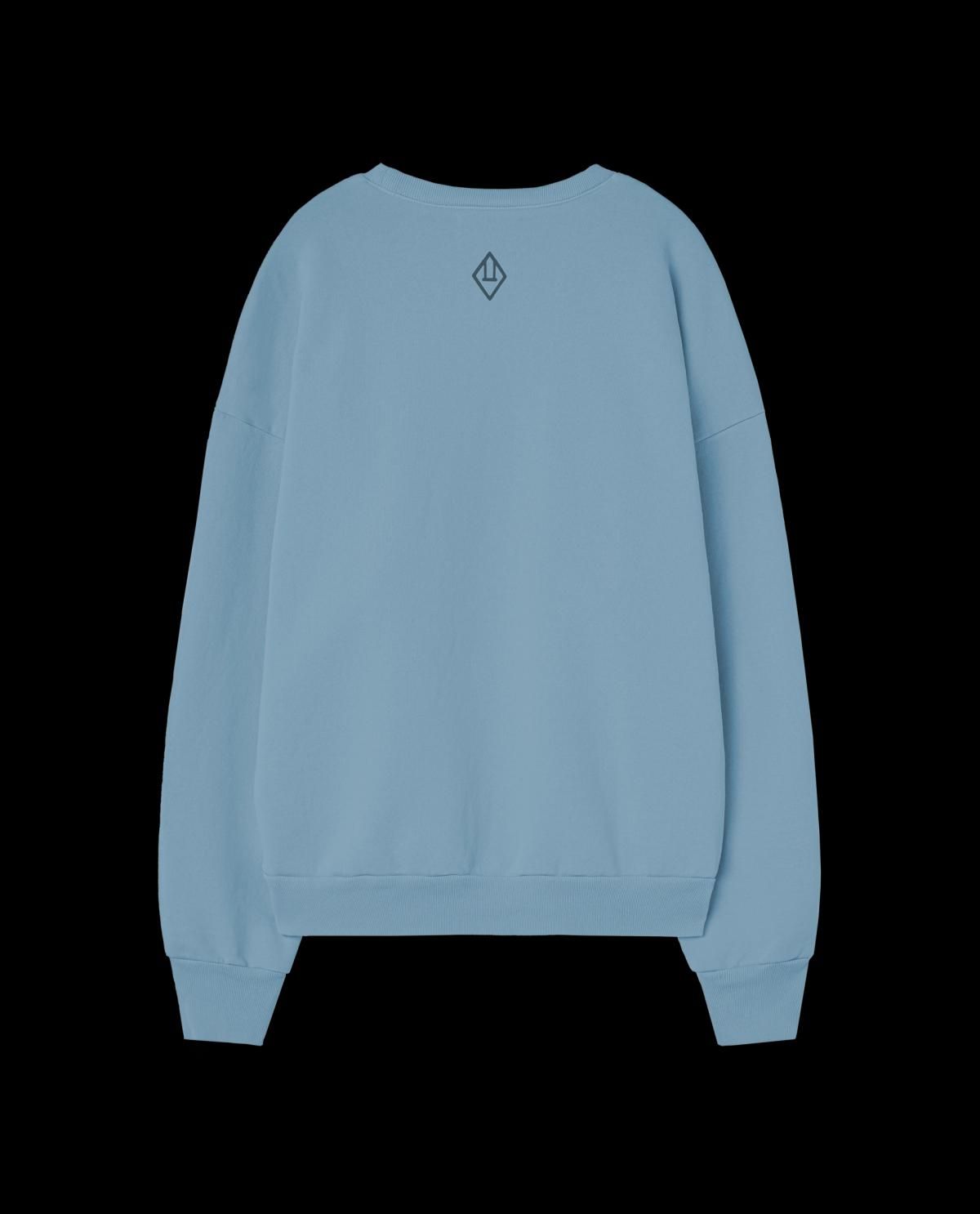 타오 트렌디 블루 키즈 맨투맨 Blue Animals Leo Sweatshirt S25113-022_BG ONE COLOR - 상세 이미지 2