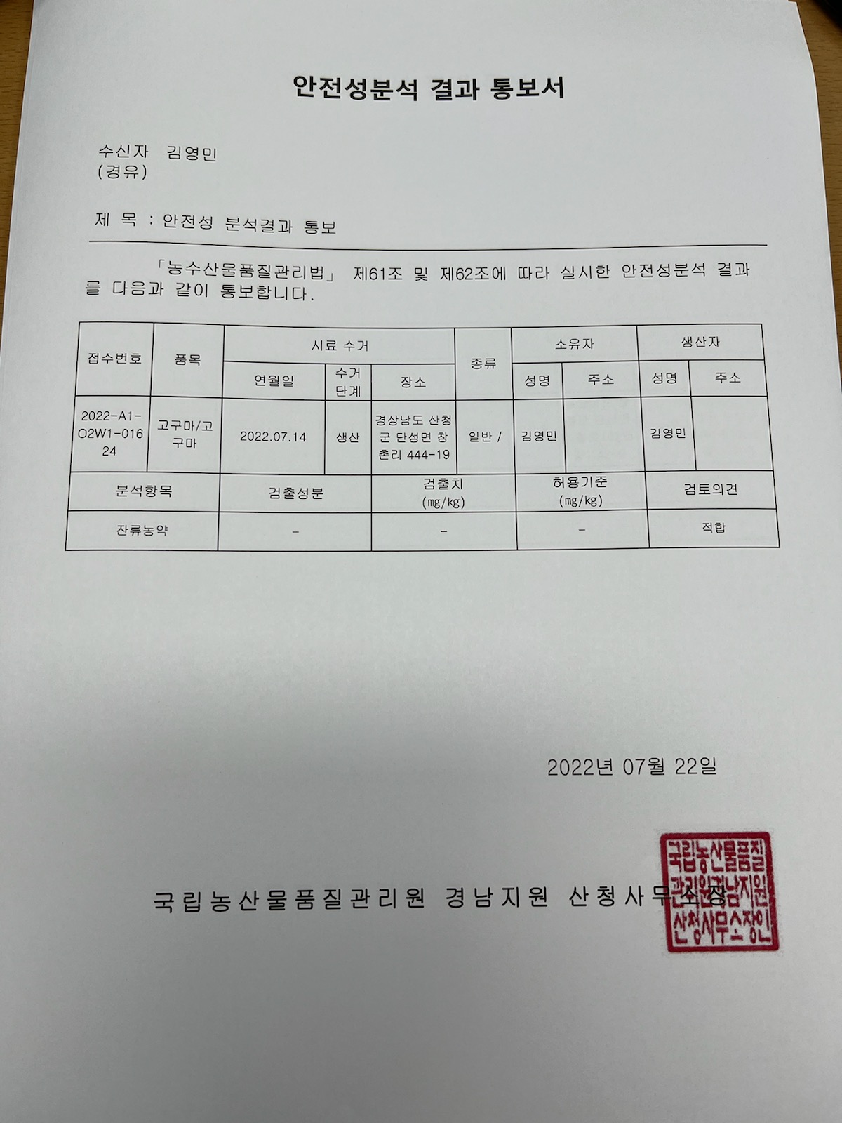 달콤한 밤고구마 3kg 해남고구마 - 상세 이미지 4