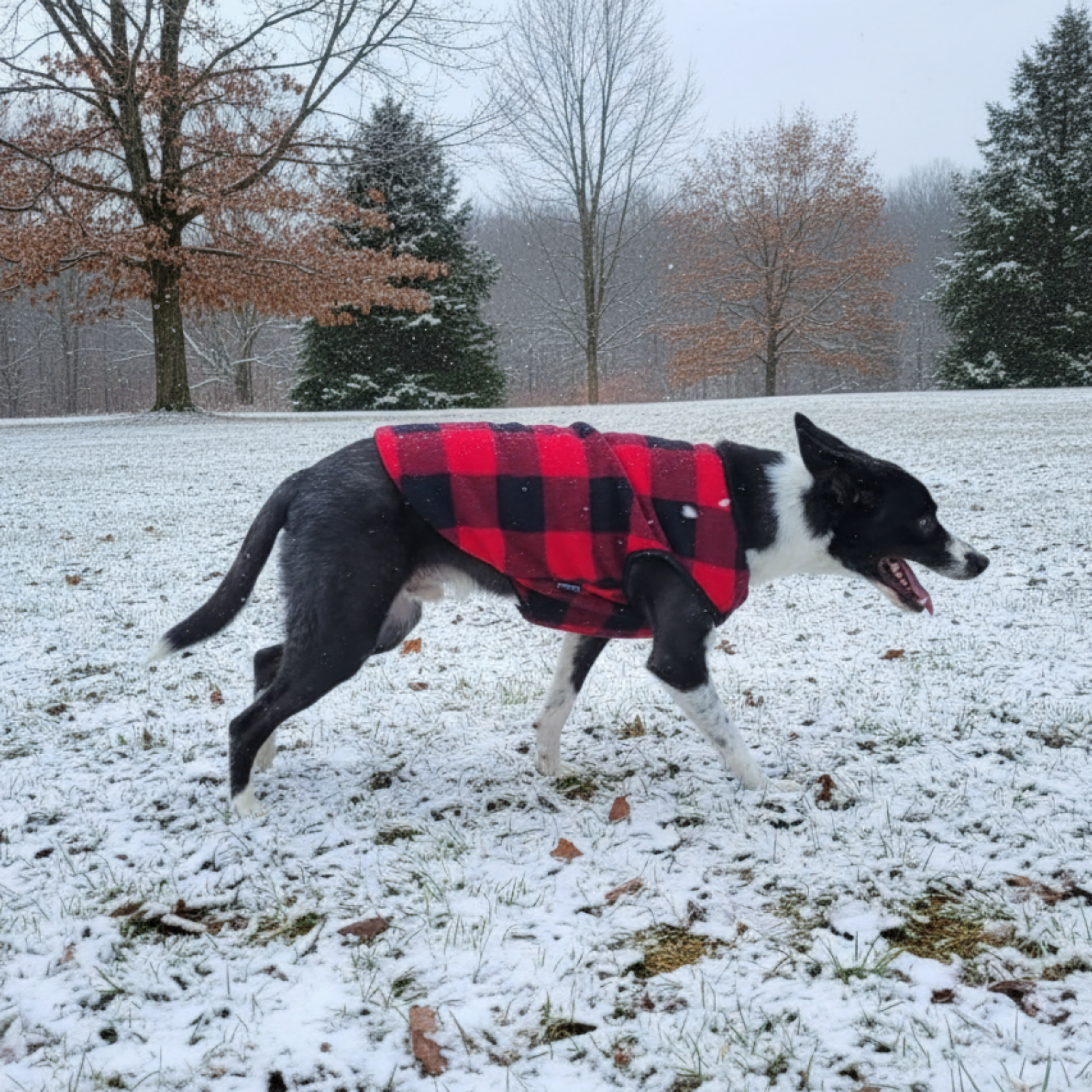 위드레오 강아지 겨울 조끼 대형견 옷 후리스 중형견옷 체크, 레드, S