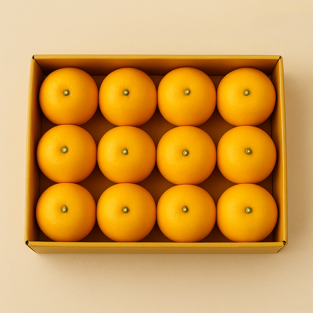 섬바람 제주 황금향 레드향 천혜향 한라봉 2kg 3kg 5kg 감귤 산지직송 가정용