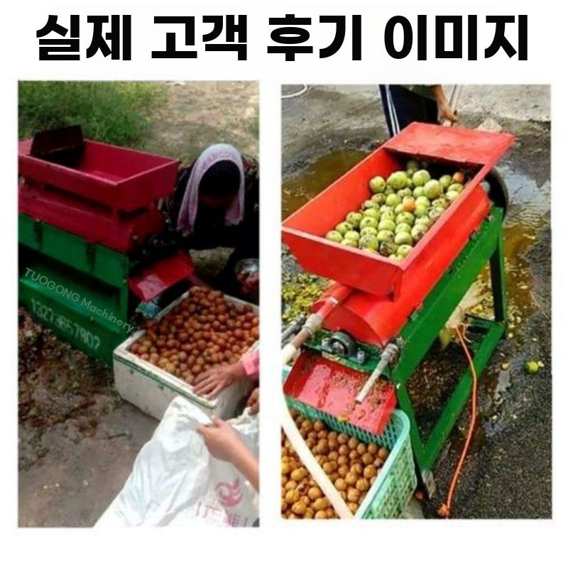 호두껍질제거기 자동세척탈피기 가정용청피호두박피기 껍질 - 상세 이미지 3