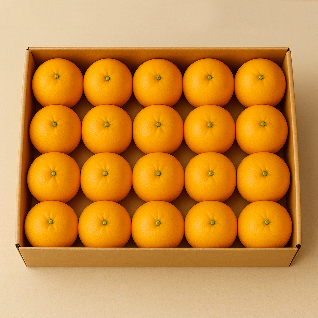 섬바람 제주 감귤 3kg 5kg 10kg 노지 비가림 타이벡 하우스 청귤 산지직송