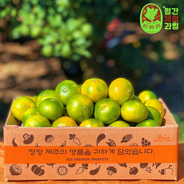 하귤 제주 유라귤 타이백 감귤 노지 극조생감귤 타이벡 감귤 10kg 5키로