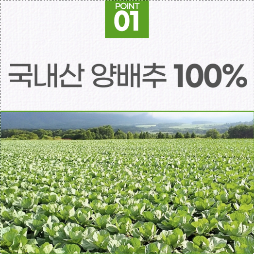 양배추환 국내산 양배추정 360g - 상세 이미지 4