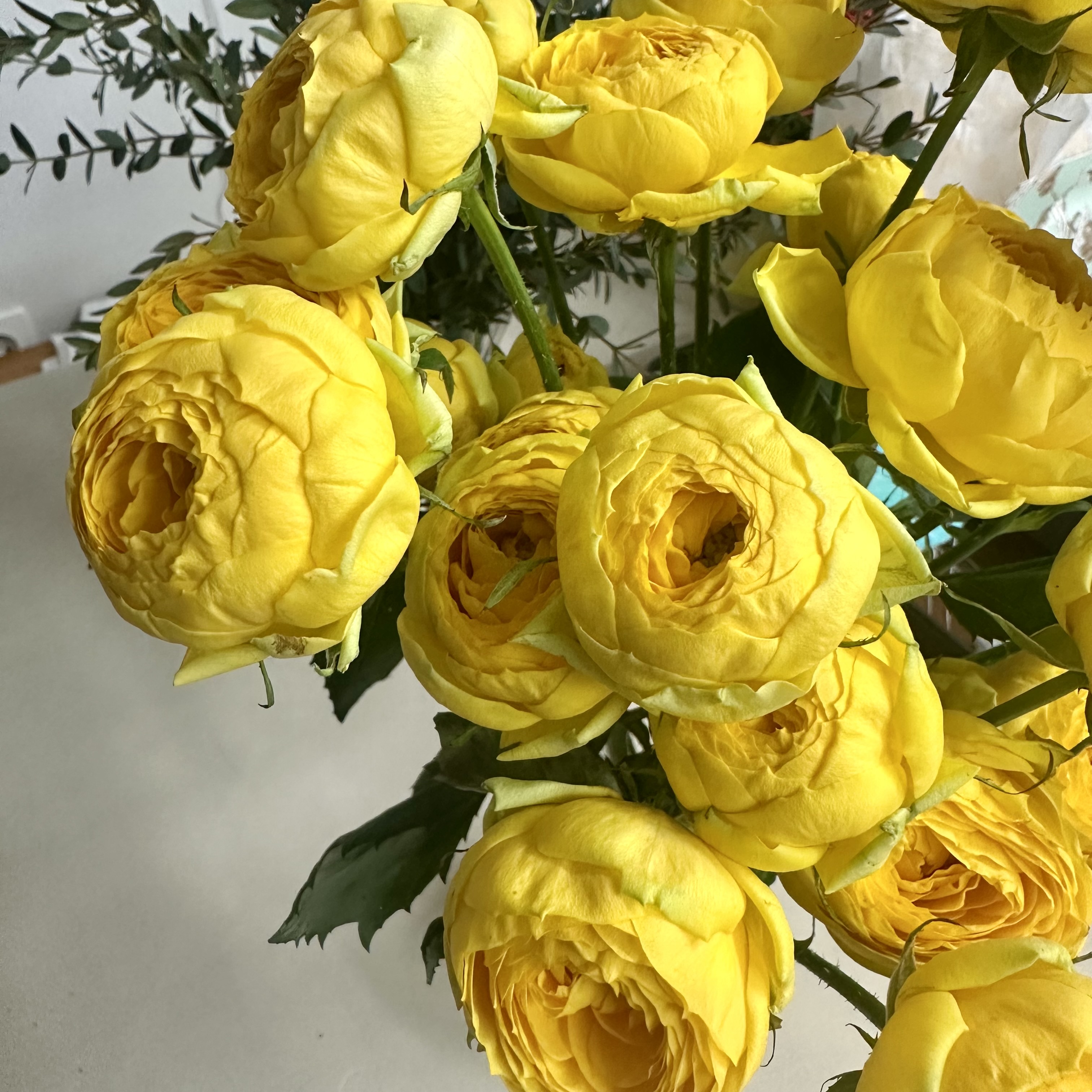 희록플라워 카탈리나 노란 장미 노랑 생화 졸업식 꽃다발 축하꽃다발 개업축하선물 생화택배 - 상세 이미지 4