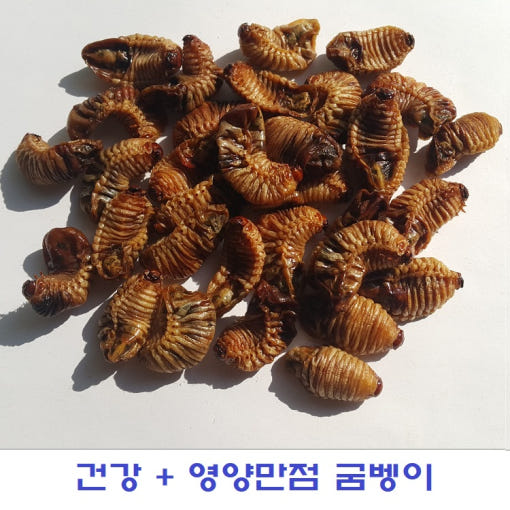 thumbnail-8