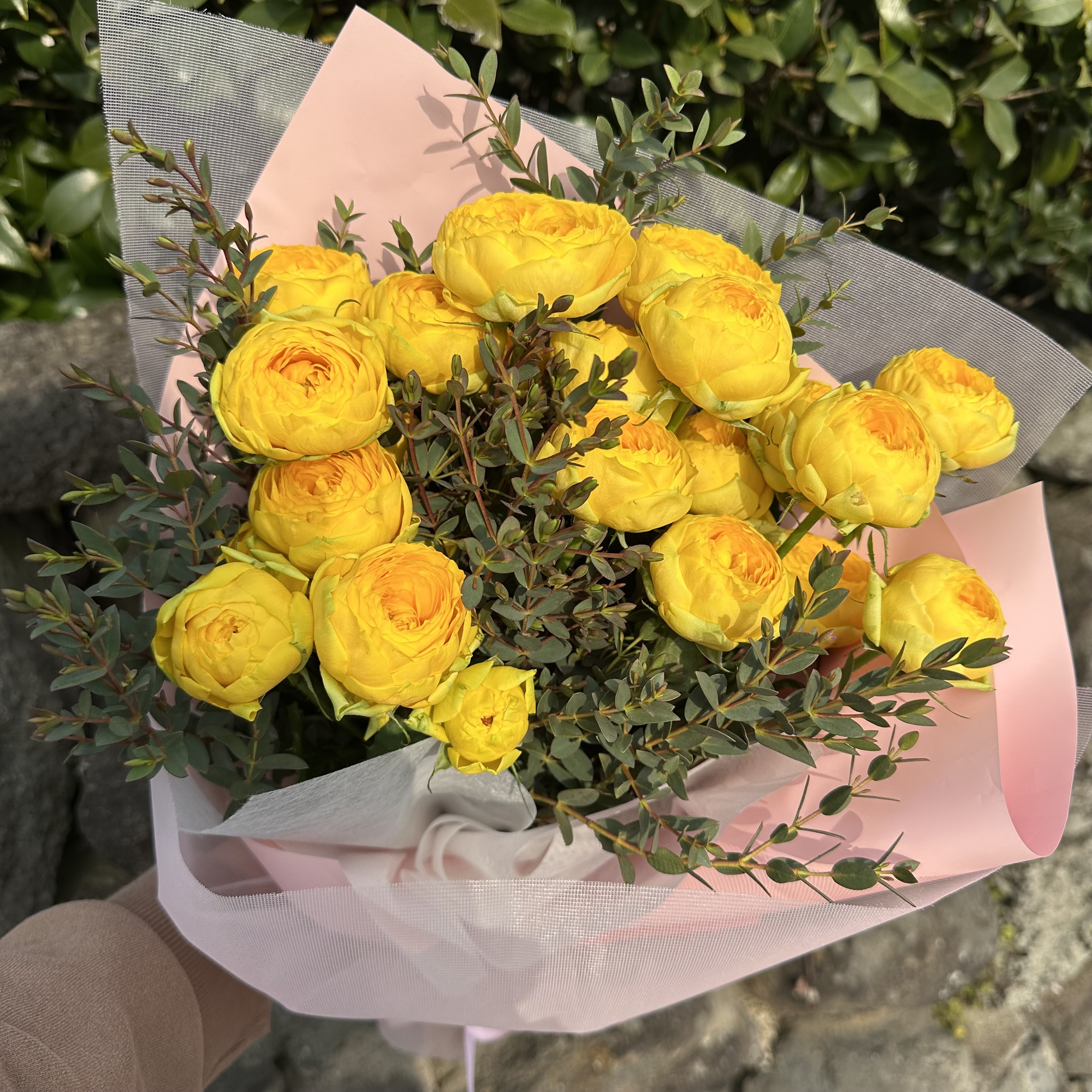 희록플라워 카탈리나 노란 장미 노랑 생화 졸업식 꽃다발 축하꽃다발 개업축하선물 생화택배 이미지 7