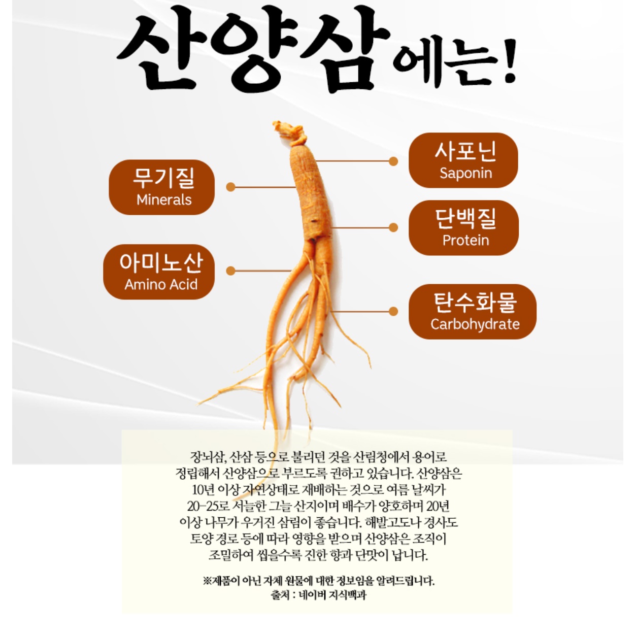 산양삼 진액 산삼액 산삼배양액 산삼 엑기스 액기스 30포 - 상세 이미지 2