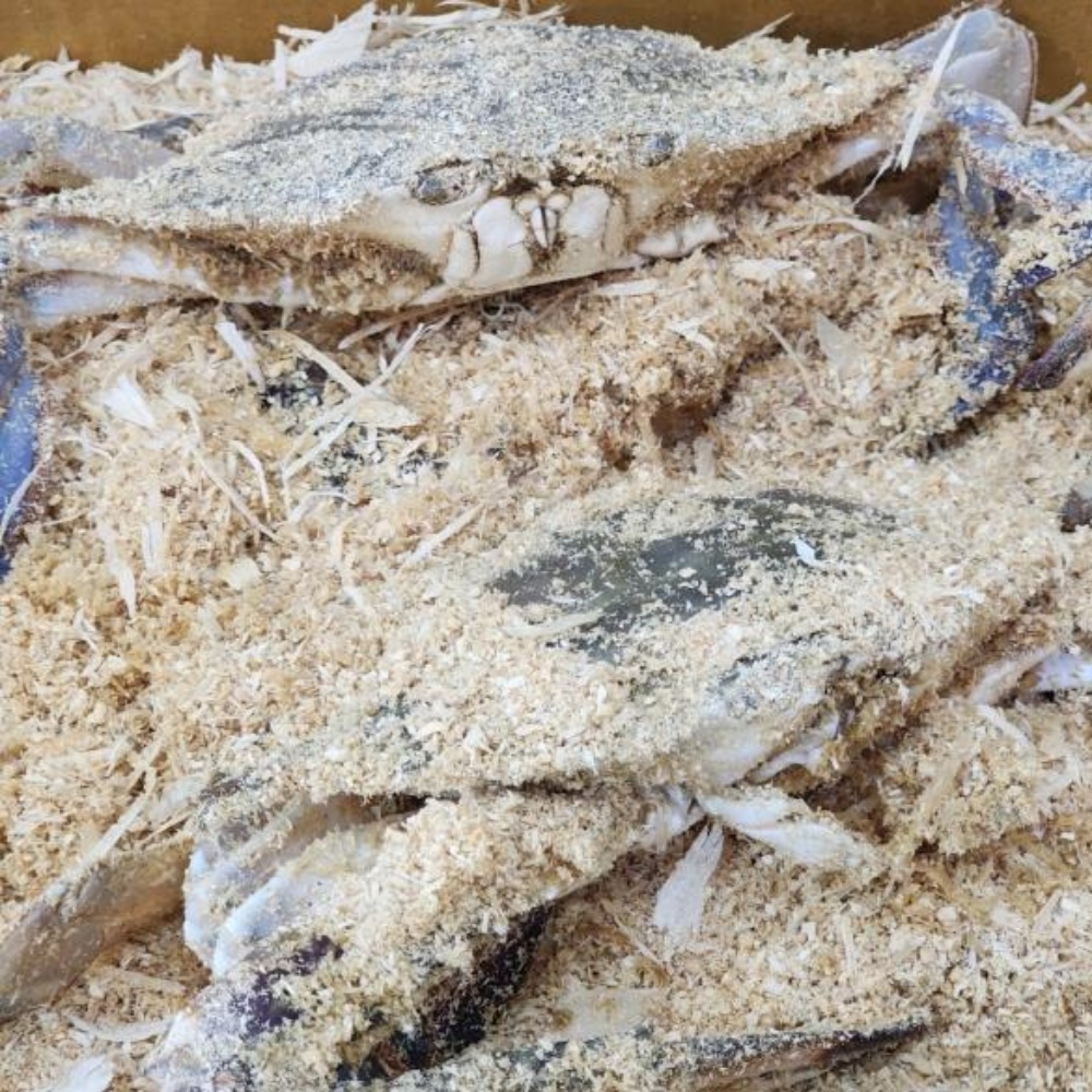 톱밥 꽃게 톳밥 태안 신진도 꽃개 활꽃게 톱밥게 숫꽃게 암꽃게 수꽃게 2kg, 1개 - 상품 이미지