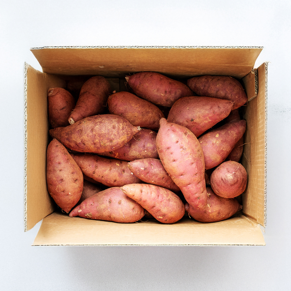 해남 못난이 고구마 혼합 실속형 2KG 5KG - 상세 이미지 4