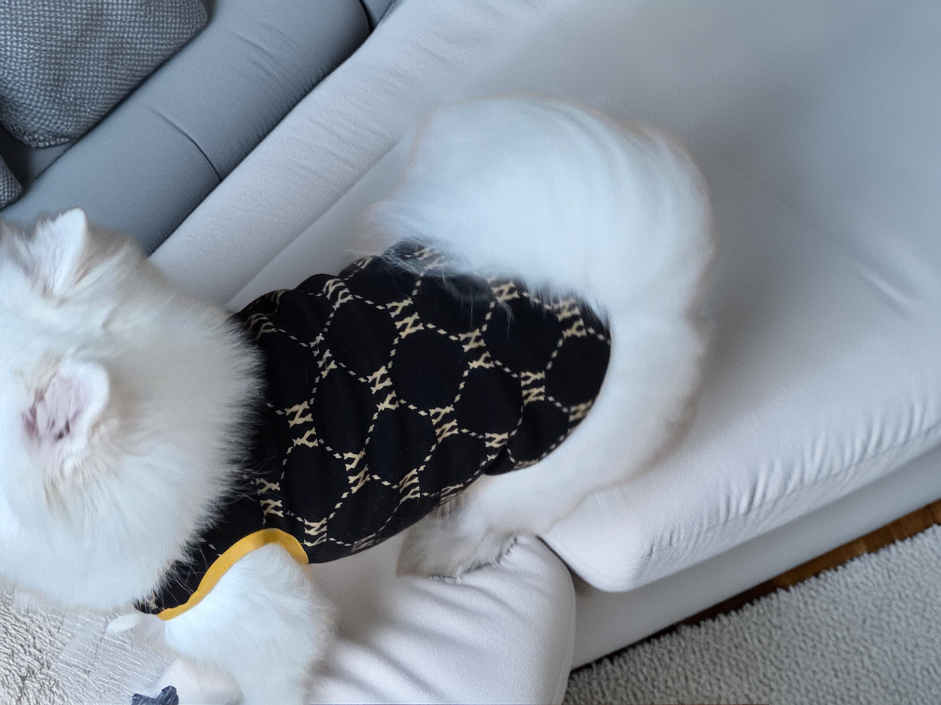 가을 블랙 패턴 포인트 강아지 티셔츠 민소매 고급 골드톤 원단 강아지 반려견 옷 산책룩 - 상세 이미지 2