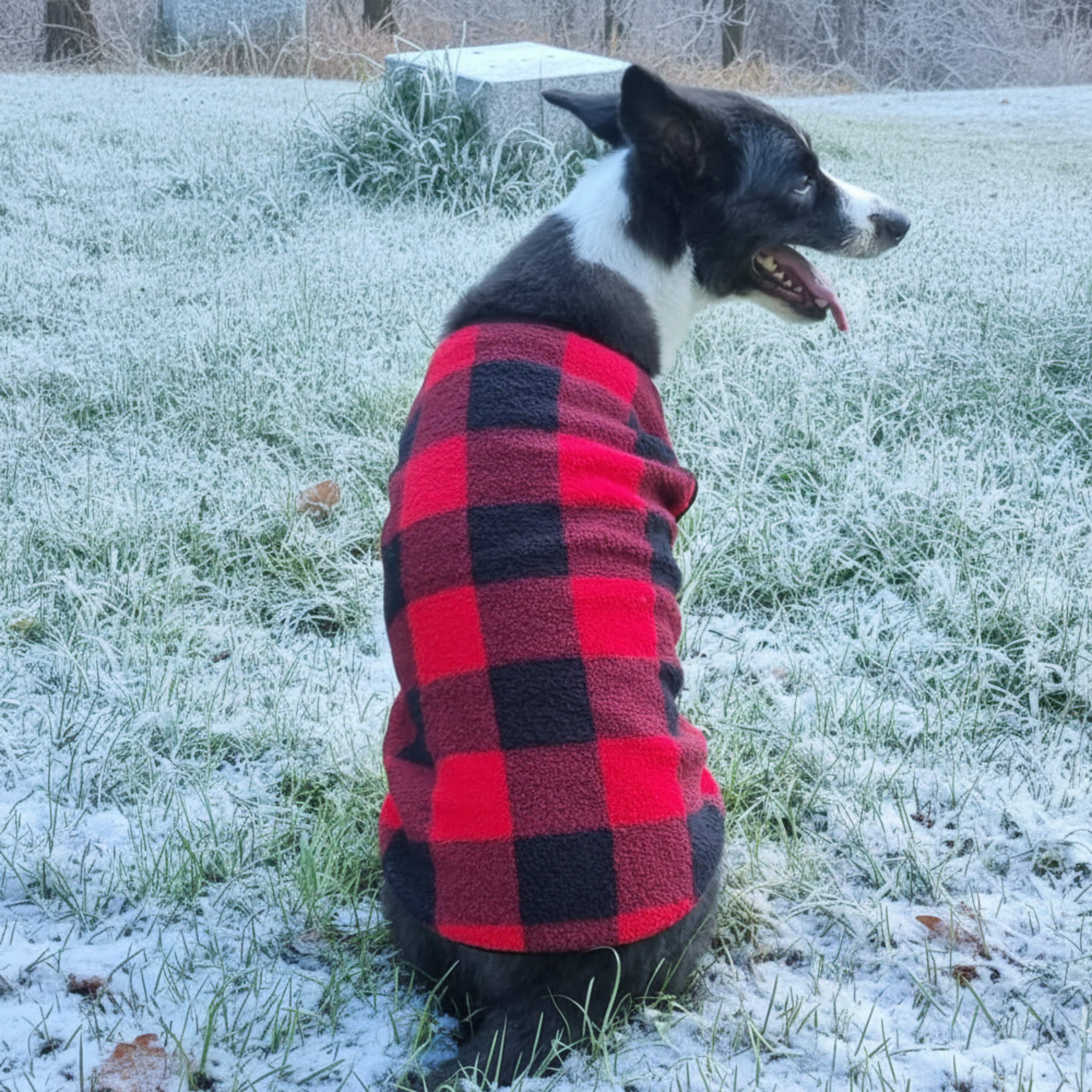 위드레오 강아지 겨울 조끼 대형견 옷 후리스 중형견옷 체크, 레드, S