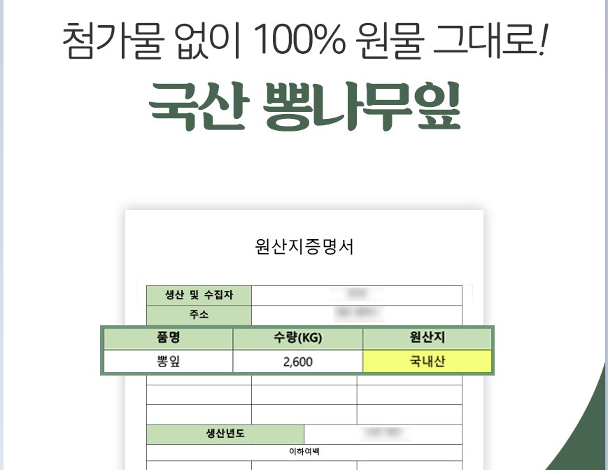 뽕잎 뽕잎차 50티백 3개 - 상세 이미지 5