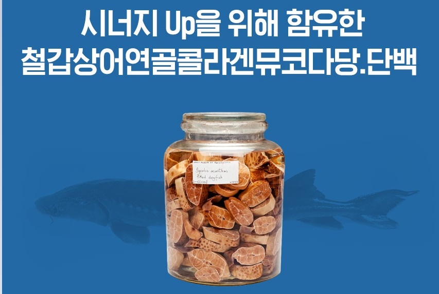 HACCP 뮤코다당 철갑상어연골 콘드로이친 600mg 60정 2개 이미지 8