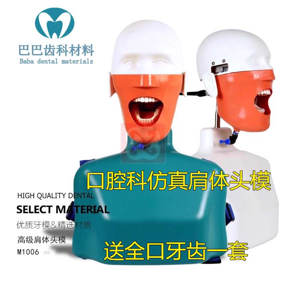 치과 마네킹 치의학 실습용 턱 모형 교육 훈련 인형 단일상품 - 상세 이미지 3