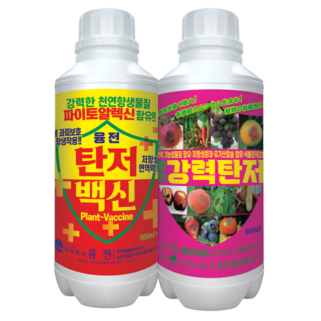 [탄저솔루션] 강력탄저 액제 탄저백신 액제 탄저병 균박멸 작물보호 식물영양제 500ml, 2개입 - 상품 이미지