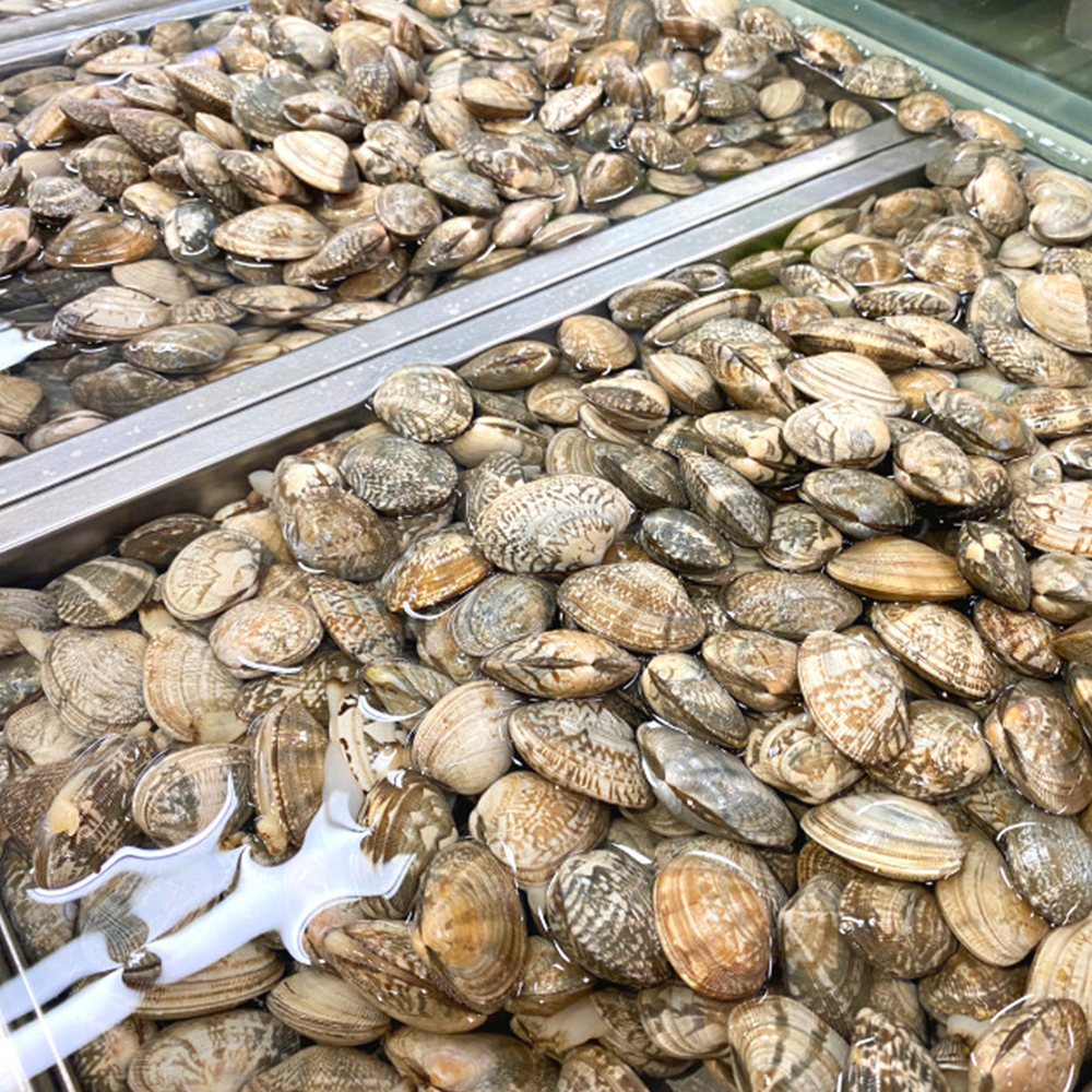 [통영직송-무배]활바지락, 동죽 1kg 남해바다 다이버작업 살이통통 감칠맛 제철진미 - 상세 이미지 3