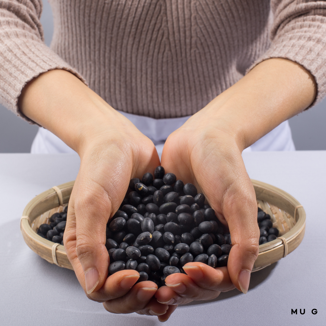 속이 진한 맛있는 영양 서리태 1kg, 3개 - 상세 이미지 5
