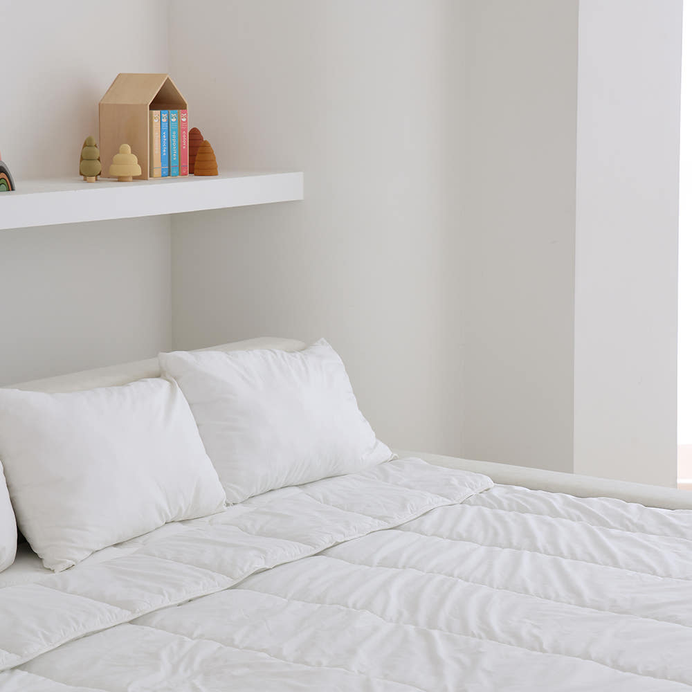 노르웨이숲 데이베드