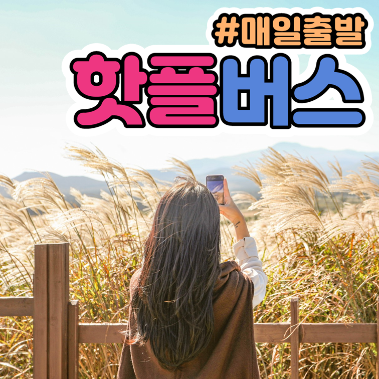 핫플트립 제주도버스투어 뚜벅이 패키지 일일여행 제주여행 액티비티 택시 투어패스 감귤체험 - 상품 이미지