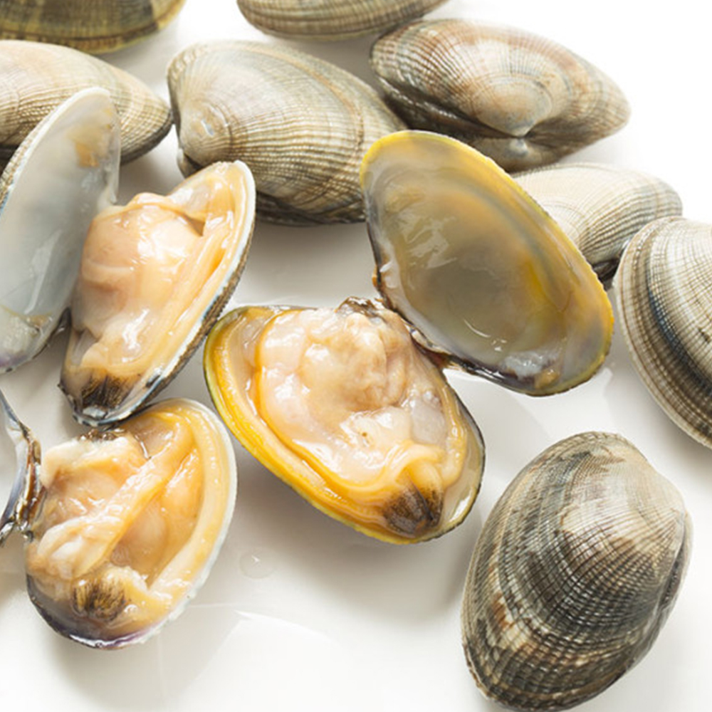 [통영직송-무배]활바지락, 동죽 1kg 남해바다 다이버작업 살이통통 감칠맛 제철진미 이미지 8