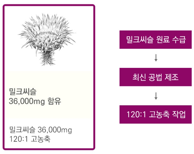 2+1 호주 닥터코알라 유기농 밀크씨슬 실리마린 글루타치온 리버케어 90캡슐 이미지 6