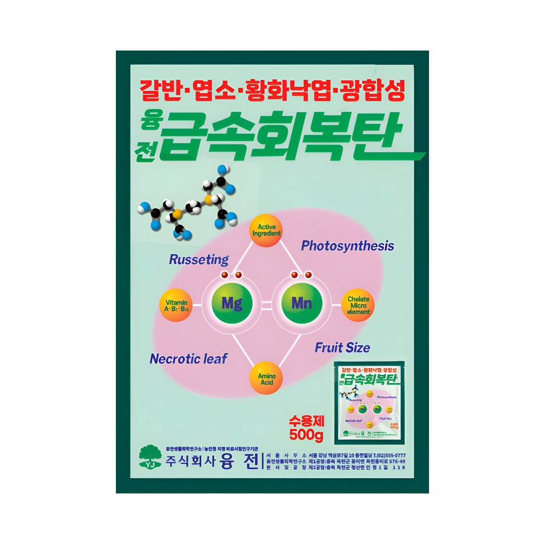 [마그네슘비료] 잎청정 급속회복탄 수용제 갈반회복 황화회복 광합성촉진 500g, 1개입 - 상품 이미지