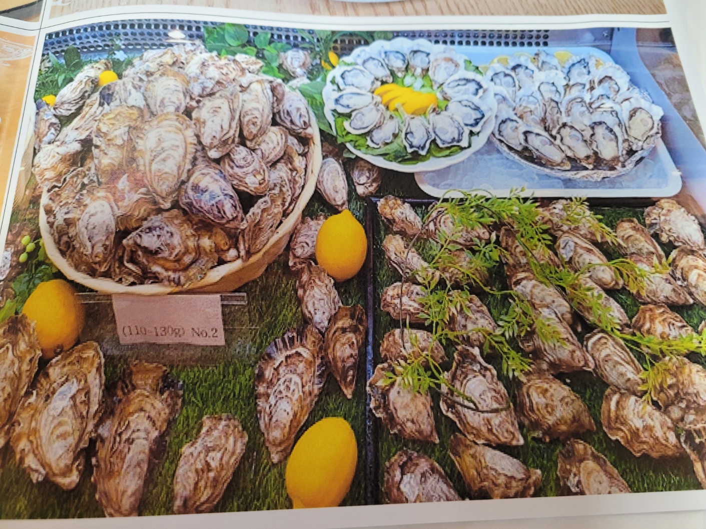 신안 앞바다에서 키운 프리미엄 명품 삼배체 1004굴 2kg - 상세 이미지 2