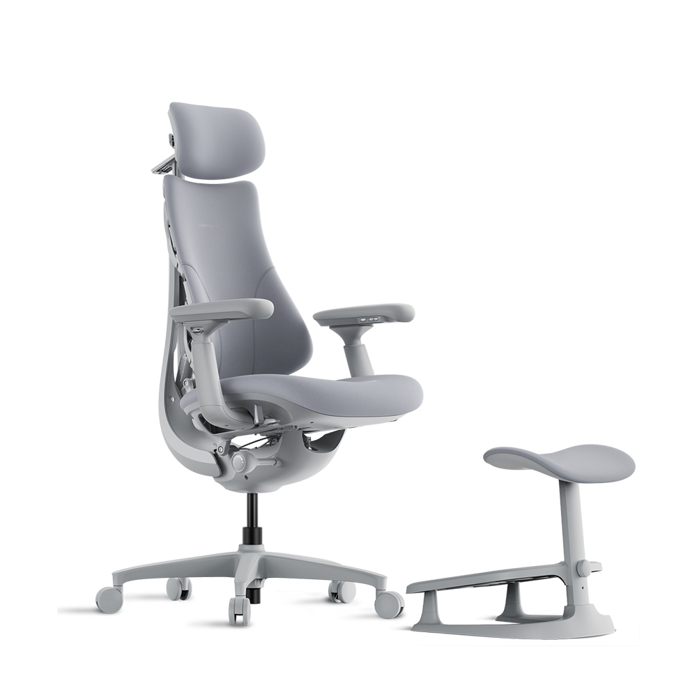 다이나믹 인체공학 의자 LiberNovo Omni Combo 리버노보 옴니 콤보